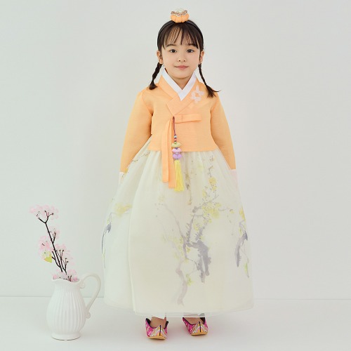 Min Han-bok Naria&#039;s Premium Traditional Girls&#039; High-Quality Hanbok Facility Children&#039;s First Birthday Baby Dress Infant